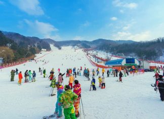 Du lịch Hàn Quốc đến khu trượt tuyết Yangji Pine Ski Resort