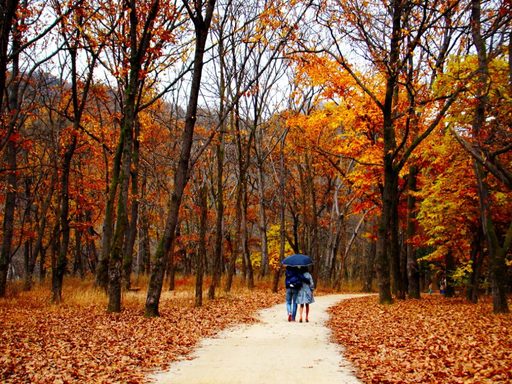 Du lịch Hàn Quốc mùa thu thời tiết lý tưởng nhất trong năm