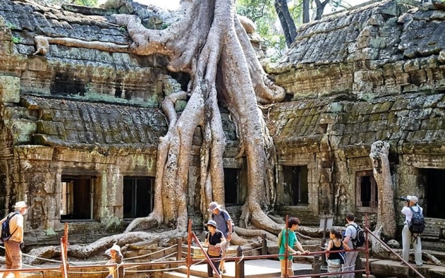 Khám phá đền Ta Prohm Campuchia, ngôi đền bí ẩn với những rễ cây kì dị Khám phá đền Ta Prohm Campuchia, ngôi đền bí ẩn với những rễ cây kì dị